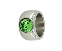 Edelstahlring "grün" Edelstahlring "grün"